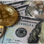 criptovalute 8