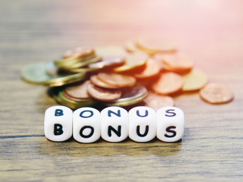 Bonus autonomi senza partita iva