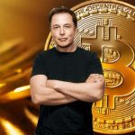 criptovaluta stopelon