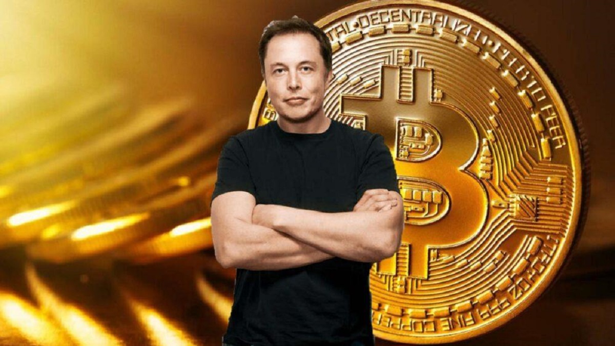 criptovaluta stopelon