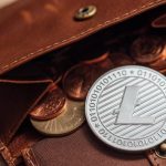 Litecoin Dogecoin