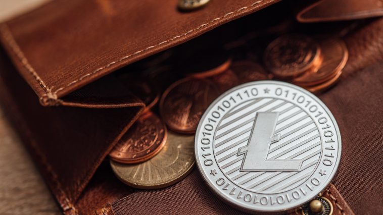 Litecoin Dogecoin