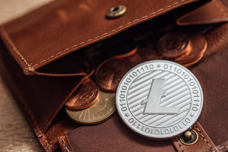 Litecoin Dogecoin