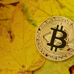 invest crypto 51