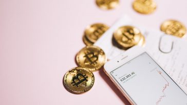 pexels leeloo thefirst 8919543