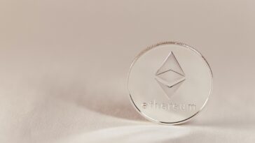 pexels jonathan borba 14911390