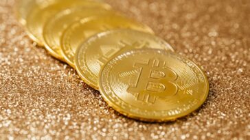 pexels karolina grabowska 5980576