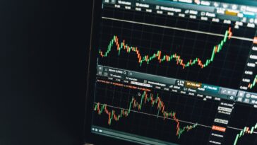 pexels alesia kozik 6781273