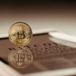 pexels jonathan borba 14348489