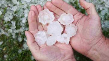 grandine investimentimagazineit