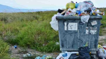 rifiuti abbandonati investimentimagazineit