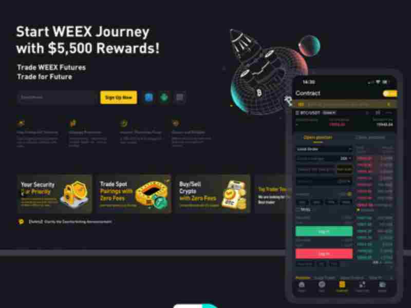 screenshot del sito WEEX