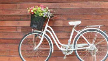 bici investimentimagazineit