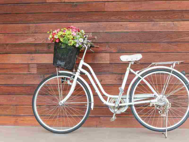 bici investimentimagazineit