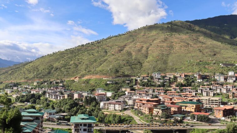 pexels soonam wooeser 18769694