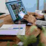 I 10 Migliori Lavori Freelance del 2024 Che Puoi Fare Senza Abilità o Esperienza