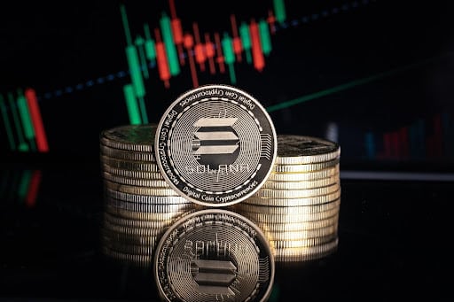 Meme Coin a Tema Gatto