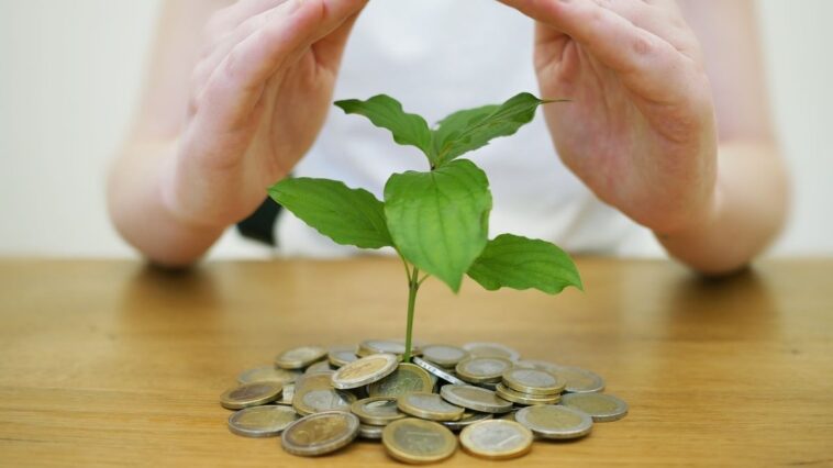 Fondi di investimento: caratteristiche e vantaggi