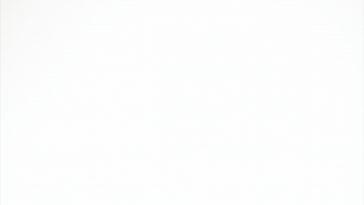 Logo Porsche Holding con grafico utili in calo nel 2024