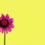 strategie di finanza personale per costruire un futuro finanziario stabile python 1758350955