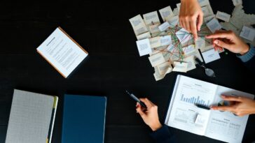 composizione e responsabilita del consiglio del corso di laurea in economia e commercio 1771590124